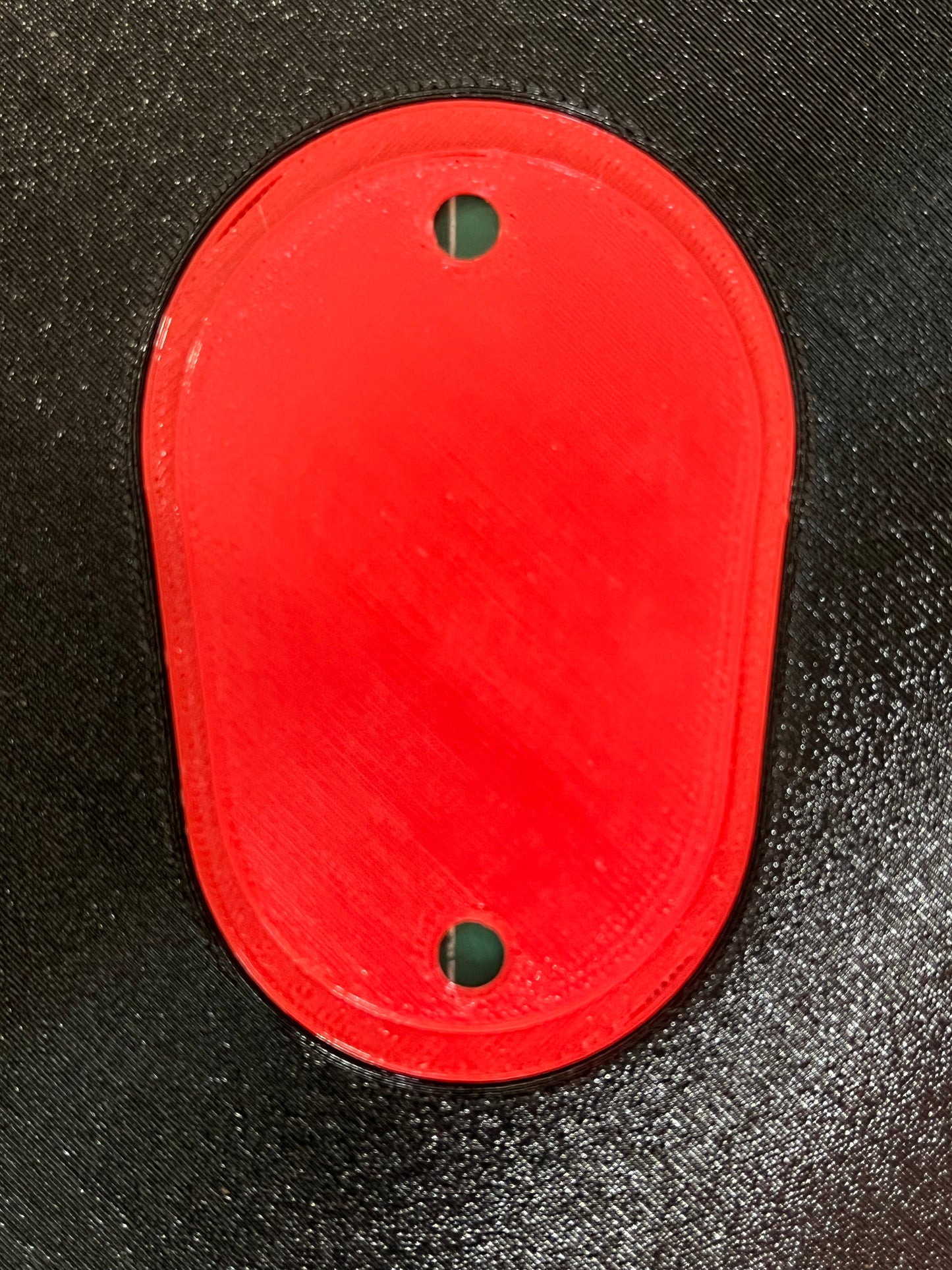 Dual Color Headlight Delete Panel - Border, Letter and Screw Risers same color